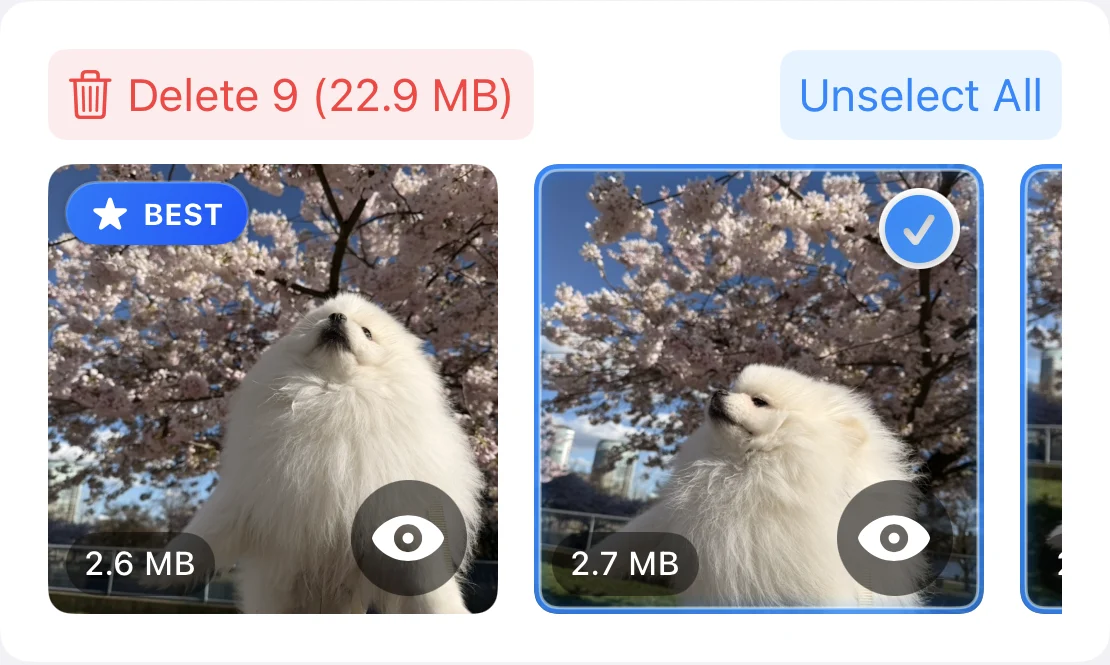 PhotoCleanse compares two similar dog photos: the first is suggested to keep and the second is selected for deletion